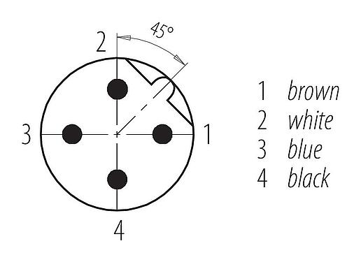 Disposition des contacts (Côté plug-in) M12 Connecteur mâle, Contacts: 4, non blindé, surmoulé sur le câble, IP68/IP69K, UL 2238, PVC, gris, 4 x 0,34 mm², 2 m