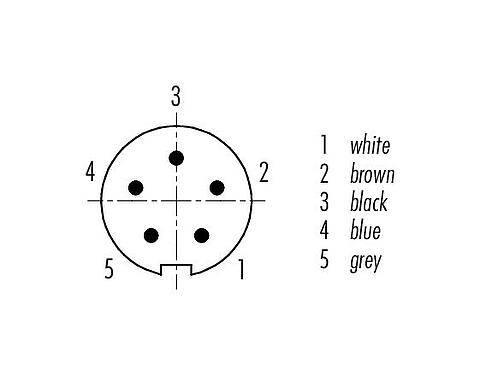 Contact arrangement (Plug-in side) M9 Male cable connector, Contacts: 5, shielded, moulded on the cable, IP67, PUR, black, 5 x 0.25 mm², 5 m