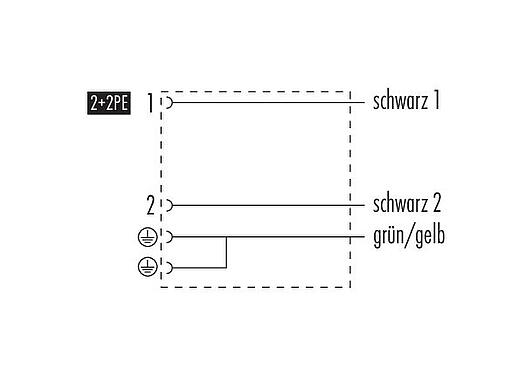 Belegungspläne Magnetventilsteckdose, Polzahl: 2+2PE, ungeschirmt, am Kabel angespritzt, IP67, PUR, schwarz, 3 m