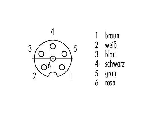 Polbild (Steckseite) M8 Kabeldose, Polzahl: 6, ungeschirmt, am Kabel angespritzt, IP65, PUR, schwarz, 6 x 0,25 mm², Snap-in Version, 2 m