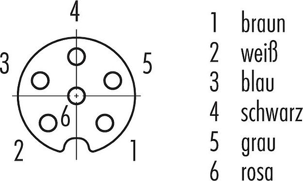 Polbild (Steckseite) M8 Kabeldose, Polzahl: 6, ungeschirmt, am Kabel angespritzt, IP67/IP69K, UL 2238, PUR, schwarz, 6 x 0,25 mm², Edelstahl, 5 m
