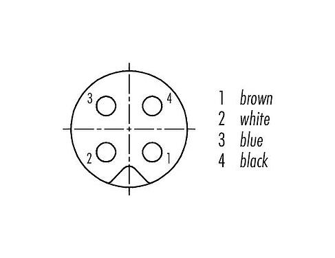 Contact arrangement (Plug-in side) 77 3450 0000 50004-0200 - M5 Female cable connector, Contacts: 4, unshielded, moulded on the cable, IP67, UL, M5x0.5, PUR, black, 4 x 0.25 mm², 2 m