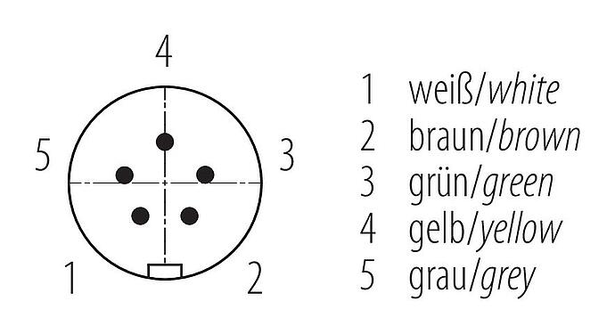 Disposizione dei contatti (lato connessione) Snap-In Connettore angolare maschio, Numero poli: 5, 6,0-8,0 mm, non schermato, saldare, IP67