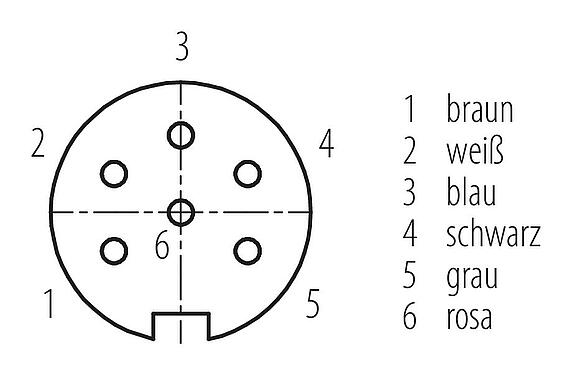 Polbild (Steckseite) M16 Kabeldose, Polzahl: 6, ungeschirmt, am Kabel angespritzt, IP67, PUR, schwarz, 6 x 0,25 mm², 2 m