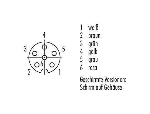 Polbild (Steckseite) M8 Kabeldose, Polzahl: 6, geschirmt, am Kabel angespritzt, IP67/IP69K, M8x1,0, PUR, schwarz, 6 x 0,25 mm², 2 m