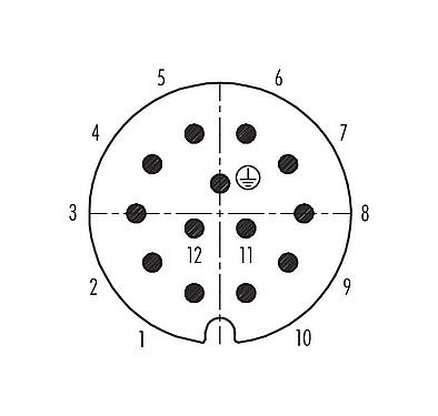 Uspořádání kontaktů (strana zástrčky) RD30 Zástrčka kabelu, : 12+PE, 14,0-18,0 mm, nestíněný, pájka, IP65