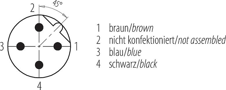 Polbild (Steckseite) M12 Kabelstecker, Polzahl: 3, ungeschirmt, am Kabel angespritzt, IP68/IP69K, UL 2238, PVC, grau, 3 x 0,34 mm², 2 m