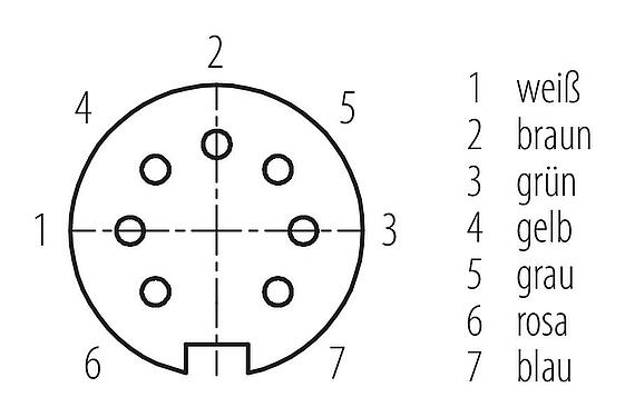 Polbild (Steckseite) M16 Kabeldose, Polzahl: 7 (07-b), ungeschirmt, am Kabel angespritzt, IP67, PUR, schwarz, 7 x 0,25 mm², 2 m