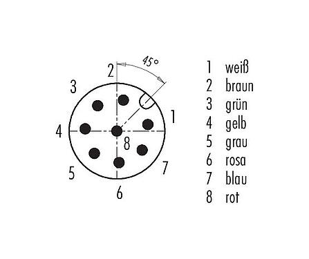 Polbild (Steckseite) 77 3729 0000 40908-0200 - M12 Kabelstecker, Polzahl: 8, ungeschirmt, am Kabel angespritzt, IP69K, Ecolab, FDA konform, Spezial TPE, grau, 8 x 0,25 mm², Edelstahl, 2 m