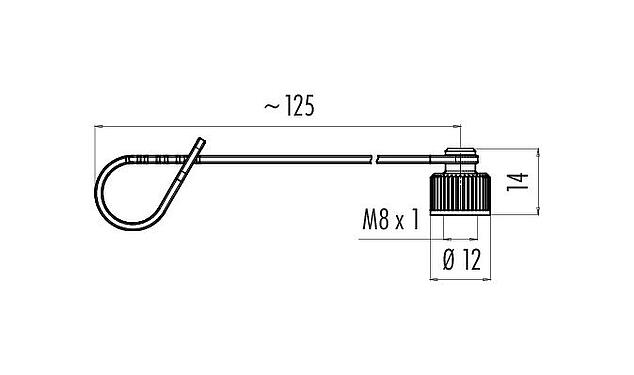 Desenho da escala 08 2840 000 000 - M8 / AS-Interface - tampa de proteção para conector de cabo; série 718/772/775/768