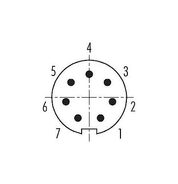 Disposition des contacts (Côté plug-in) 09 0423 65 07 - M9 Embase mâle, Contacts: 7, non blindé, THT, IP67