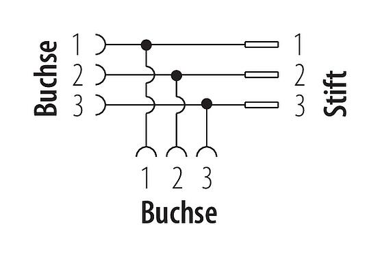 Belegungspläne 7/8" Zweifachverteiler, Polzahl: 3, ungeschirmt, IP68