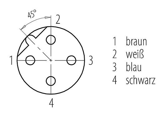 Polbild (Steckseite) M12 Schaltschrankdurchführung, Polzahl: 4, geschirmt, steckbar, IP67, UL 2238, Rückwandmontage