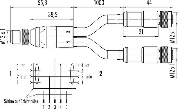 Maßzeichnung M12 Kabelsplitter Kabelstecker - 2 Kabeldosen, Polzahl: 2, geschirmt, am Kabel angespritzt, IP67, Profibus, PUR, violett, 2 x 0,25 mm², 1 m