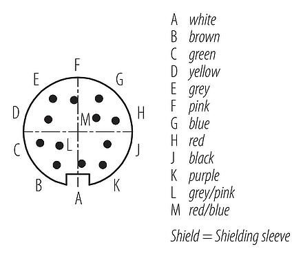 Disposición de los contactos (lado de la conexión) M16 Conector de cable macho, Número de contactos: 12, blindado, moldeado en el cable, IP67, PUR, negro, 12 x 0,25 mm², 2 m