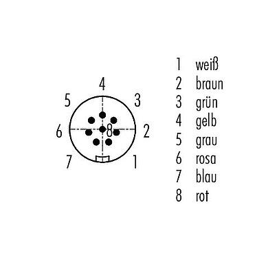 Polbild (Steckseite) Snap-In Kabelstecker, Polzahl: 8, ungeschirmt, am Kabel angespritzt, IP67, UL 2238, PUR, schwarz, 8 x 0,25 mm², 2 m
