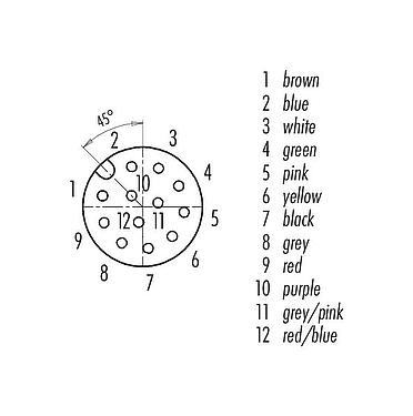 Contact arrangement (Plug-in side) 77 3434 0000 20712-0200 - M12 Female angled connector, Contacts: 12, unshielded, moulded on the cable, IP69K, UL, PVC, grey, 12 x 0.25 mm², 2 m