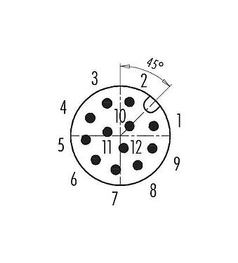 Contact arrangement (Plug-in side) 99 0491 12 12 - M12 Male cable connector, Contacts: 12, 6.0-8.0 mm, unshielded, solder, IP67, UL
