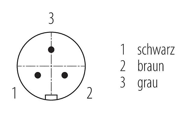Polbild (Steckseite) Snap-In Kabelstecker, Polzahl: 3, ungeschirmt, am Kabel angespritzt, IP67, VDE, PUR, schwarz, 3 x 0,75 mm², 2 m