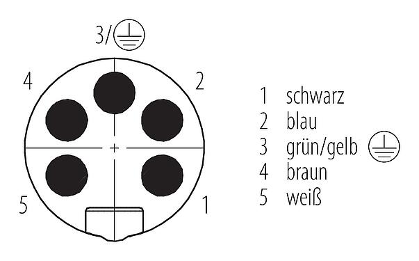 Polbild (Steckseite) 7/8" Flanschstecker, Polzahl: 4+PE, ungeschirmt, Litzen, IP68, UL 2238, VDE, PG 11, Frontmontage, vergossen