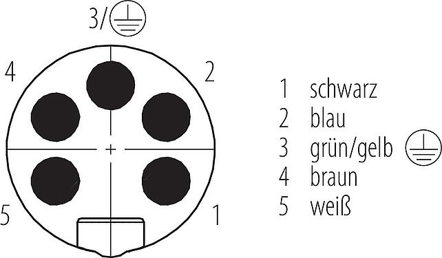 Polbild (Steckseite) 7/8" Flanschstecker, Polzahl: 4+PE, ungeschirmt, Litzen, IP68, UL 2238, VDE, PG 13,5, Frontmontage, vergossen