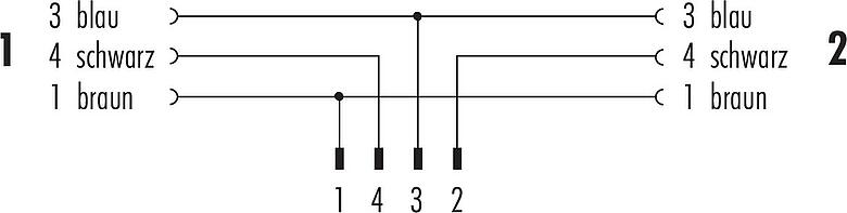 Belegungspläne M12 Kabelsplitter Kabelstecker - 2 Kabeldosen, Polzahl: 4/3, ungeschirmt, am Kabel angespritzt, IP68, UL 2238, PUR, schwarz, 3 x 0,34 mm², 2 m
