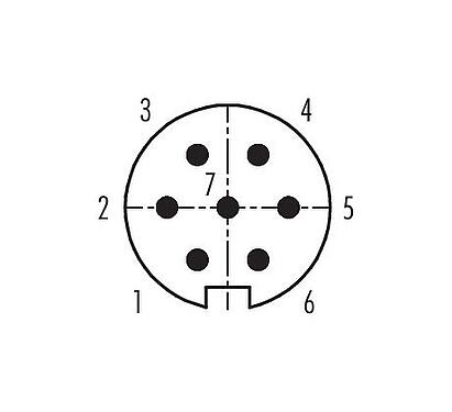 Contact arrangement (Plug-in side) 09 0145 78 07 - M16 Male angled connector, Contacts: 7 (07-a), 6.0-8.0 mm, unshielded, solder, IP40