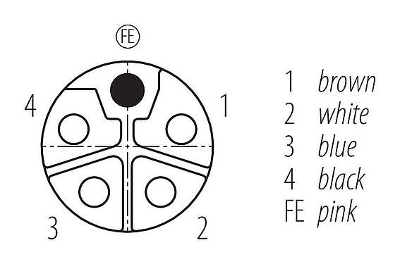 Contact arrangement (Plug-in side) 77 0650 0000 50505-0500 - M12 Female cable connector, Contacts: 4+FE, unshielded, moulded on the cable, IP68, UL, M12x1.0, PUR, black, 5 x 2.50 mm², 5 m