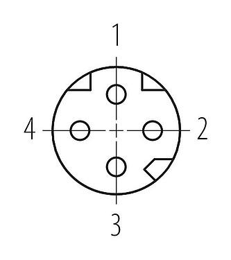 Contactconfiguratie (Insteekbereik) M8 Kabeldoos, aantal polen: 4, 4,0-5,5 mm, schermbaar, schroefklem, IP67, M8x1,0, irisveer