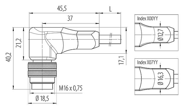 Mittakaavapiirustus M16 Kulmapistoke, Napojen määrä: 7 (07-b), suojaamaton, suihkutettu kaapelille, IP67, PUR, musta, 7 x 0,25 mm², 2 m