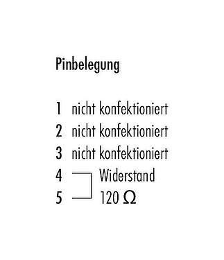 Belegungspläne M12 Abschlussdose, Polzahl: 5, ungeschirmt, IP69K, CAN-Bus