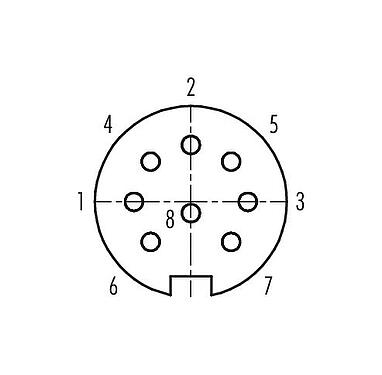 Contact arrangement (Plug-in side) 99 4830 00 08 - Push Pull Female cable connector, Contacts: 8, 4.0-8.0 mm, shieldable, solder, IP67