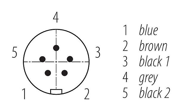 Układ styków (strona przyłączeniowa) Zatrzask Męskie złącze kablowe proste, Kontaktów: 5, nieekranowany, formowane wtryskowo na kablu, IP67, VDE, PUR, czarny, 5 x 0,75 mm², 2 m