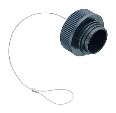 插图 08 0426 000 000 - RD30 - 电缆插座的保护帽；694系列。