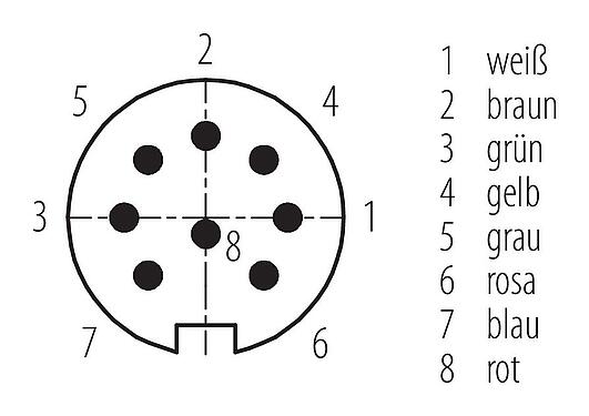 Polbild (Steckseite) M16 Kabelstecker, Polzahl: 8, ungeschirmt, am Kabel angespritzt, IP67, PUR, schwarz, 8 x 0,25 mm², 5 m
