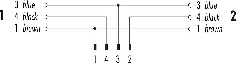 Pin assignment plans M12 Male cable splitter - 2 female angled connector, Contacts: 4/3, unshielded, moulded on the cable, IP68, UL 2238, PUR, black, 3 x 0.34 mm², 2 m