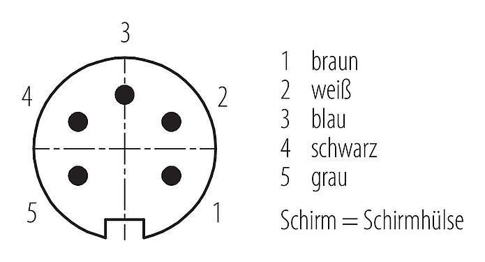 Polbild (Steckseite) M16 Kabelstecker, Polzahl: 5, geschirmt, am Kabel angespritzt, IP67, PUR, schwarz, 5 x 0,34 mm², 2 m