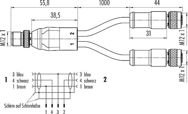 Maßzeichnung M12 Kabelsplitter Kabelstecker - 2 Kabeldosen, Polzahl: 4/3, geschirmt, am Kabel angespritzt, IP68, PUR, schwarz, 3 x 0,34 mm², 2 m