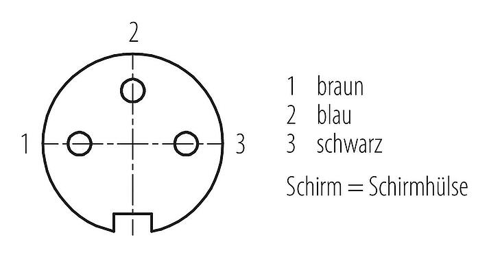 Polbild (Steckseite) M16 Kabeldose, Polzahl: 3, geschirmt, am Kabel angespritzt, IP67, PUR, schwarz, 3 x 0,34 mm², 2 m