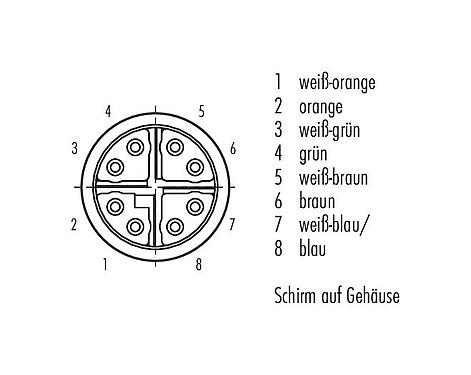 Polbild (Steckseite) 99 4172 00 08 - M16 Kabeldose, Polzahl: 8, 5,5-9,0 mm, schirmbar, IDC, IP67