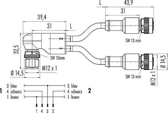 Maßzeichnung M12 Kabelsplitter Winkelstecker - 2 Kabeldosen, Polzahl: 4/3, ungeschirmt, am Kabel angespritzt, IP67, UL 2238, PUR, schwarz, 3 x 0,34 mm², 2 m