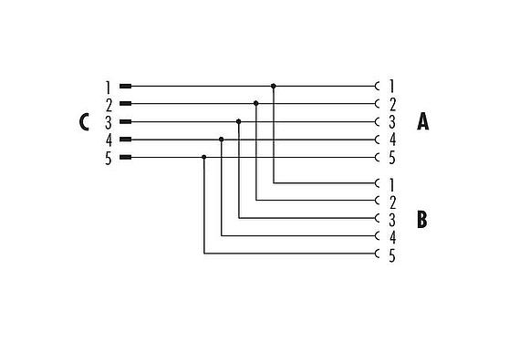 Pin assignment plans M12 Twin distributors, Y-distributor, male connector - 2 female connector, Contacts: 5, unshielded, pluggable, IP68, UL 2238, stainless steel