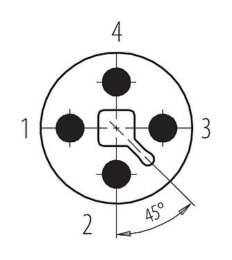 Sắp xếp liên hệ (phía kết nối) M12 Phích cắm cáp, Số lượng cực : 4, 8,0-9,0mm, có thể che chắn, kẹp vít, IP67, UL 2238, Lò xo iris