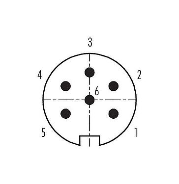 Contact arrangement (Plug-in side) 09 4819 25 06 - Push Pull Male panel mount connector, Contacts: 6, unshielded, solder, IP40