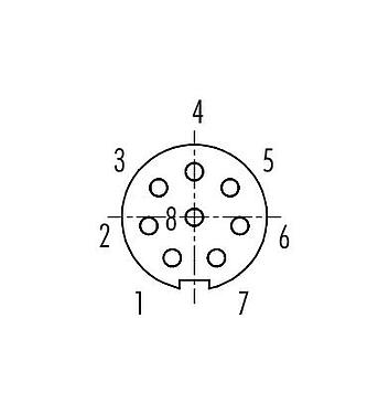Disposizione dei contatti (lato connessione) 99 9480 100 08 - Baionetta Connettore cavo femmina, Numero poli: 8, 3,0-4,0 mm, non schermato, saldare, IP40