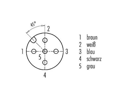 Polbild (Steckseite) M12 Kabeldose, Polzahl: 5, ungeschirmt, am Kabel angespritzt, IP68/IP69K, PUR, schwarz, 5 x 0,34 mm², für Schweißanwendungen, 5 m