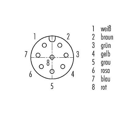 Polbild (Steckseite) M12 Vierkant-Flanschdose, Polzahl: 8, ungeschirmt, Litzen, IP40, UL 2238, M3 (4x), Frontmontage, vergossen