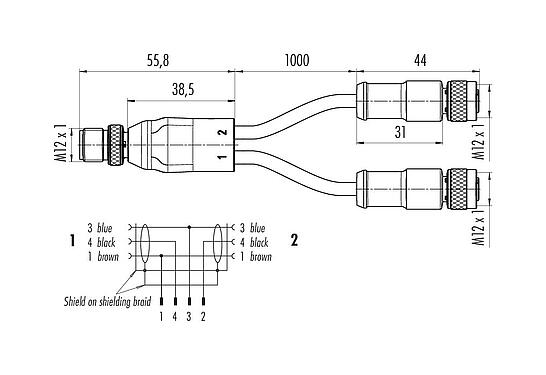 Desenho da escala 77 9855 3530 50703-0200 - M12 Conector duplo - 2 tomada de cabos M12x1, Contatos: 4/3, blindado, moldado no cabo, IP68, PUR, preto, 3 x 0,34 mm², 2 m