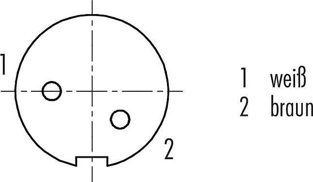 Polbild (Steckseite) M9 Kabeldose, Polzahl: 2, geschirmt, am Kabel angespritzt, IP67, PUR, schwarz, 5 x 0,25 mm², 5 m
