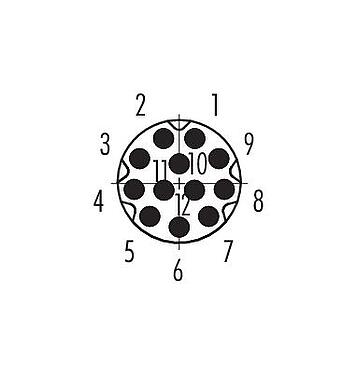 Contact arrangement (Plug-in side) M8 Male panel mount connector, Contacts: 12, unshielded, THT, IP67/IP69K, UL 2238, M8x1.0, Rear mounting, screwable from the front